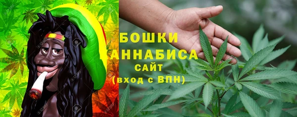 соль ск Алексеевка