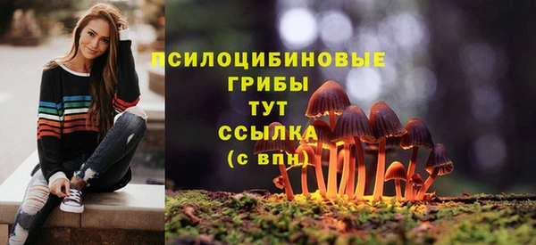 трава Абаза